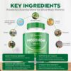 Rosabella Moringa 100% Pure – Maximum Potency| Supports Sleep, Joints, and Energy Levels| 60 Capsules - 图片 3