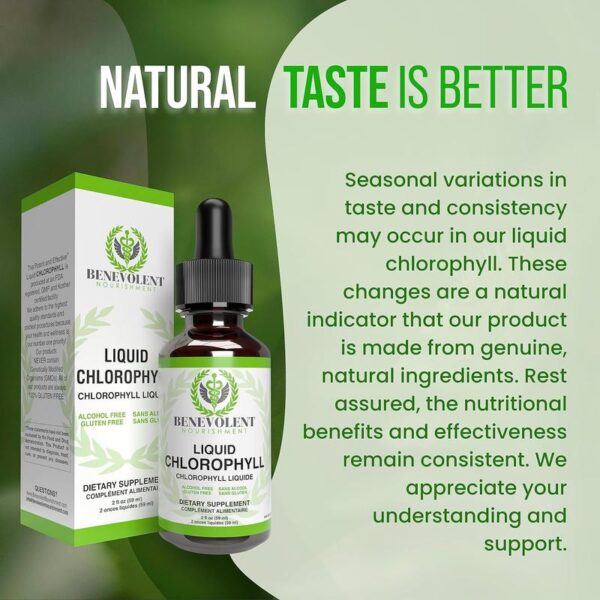 Liquid Chlorophyll Drops for Blood Health & Antioxidant Support | Alcohol-Free, Gluten-Free Supplement for Immune Boost, Skin Health & Body Odor Control – 2 fl oz (59mL) - 图片 6