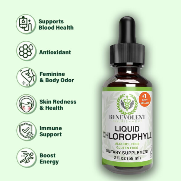 Liquid Chlorophyll Drops for Blood Health & Antioxidant Support | Alcohol-Free, Gluten-Free Supplement for Immune Boost, Skin Health & Body Odor Control – 2 fl oz (59mL)