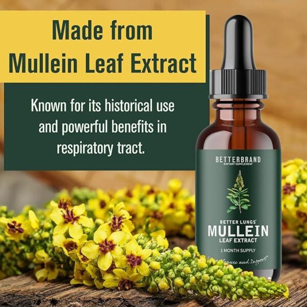 BetterBrand Mullein Lung Support Supplement - 2-Pack Bundle, Natural Respiratory Cleanse & Detox, Herbal Lung Health Formula - 图片 5