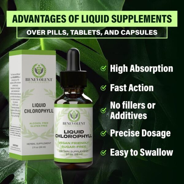 Liquid Chlorophyll Drops for Blood Health & Antioxidant Support | Alcohol-Free, Gluten-Free Supplement for Immune Boost, Skin Health & Body Odor Control – 2 fl oz (59mL) - 图片 5