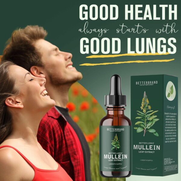 Mullein Drops for Lungs, Mullein Leaf Extract with Chlorophyll,Mullein Leaf Extract for Lung Cleanse and Respiratory Support - 图片 2